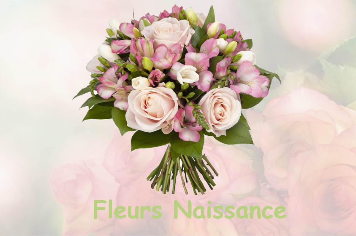 fleurs naissance MONTREJEAU