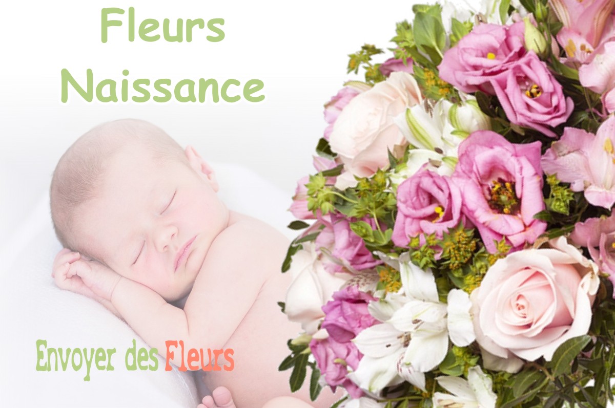 lIVRAISON FLEURS NAISSANCE à MONTREJEAU